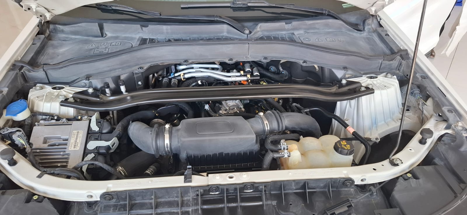 1FM5K8GC7MGC08447