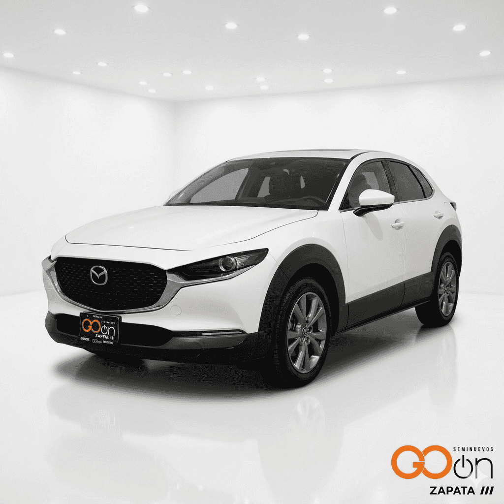 CX30 I GRAND TOURING