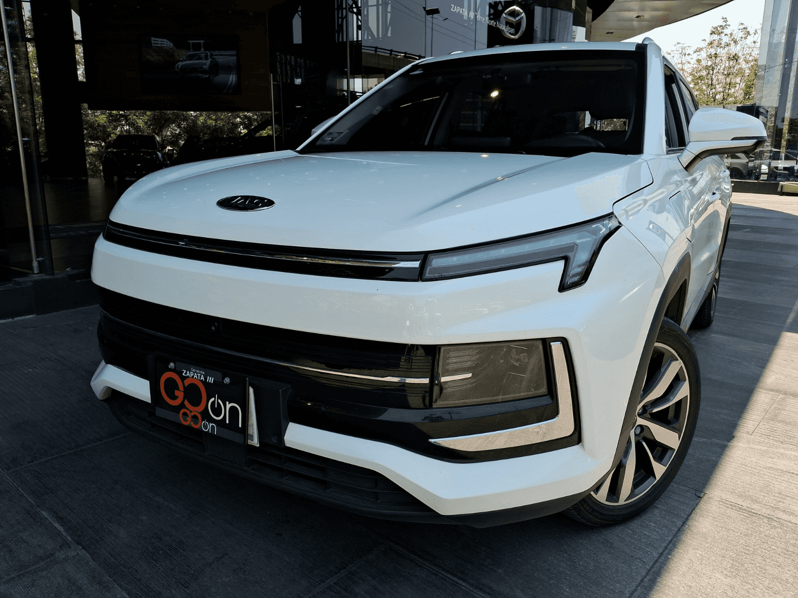 ESEI4 PRO ELECTRICO 5PTAS