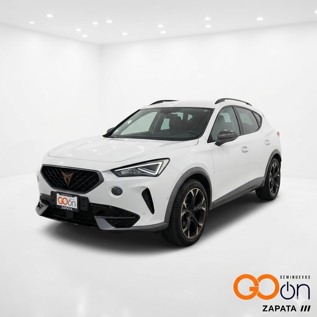 SEA_CUPRA FORMENTOR VZ TSI 310
