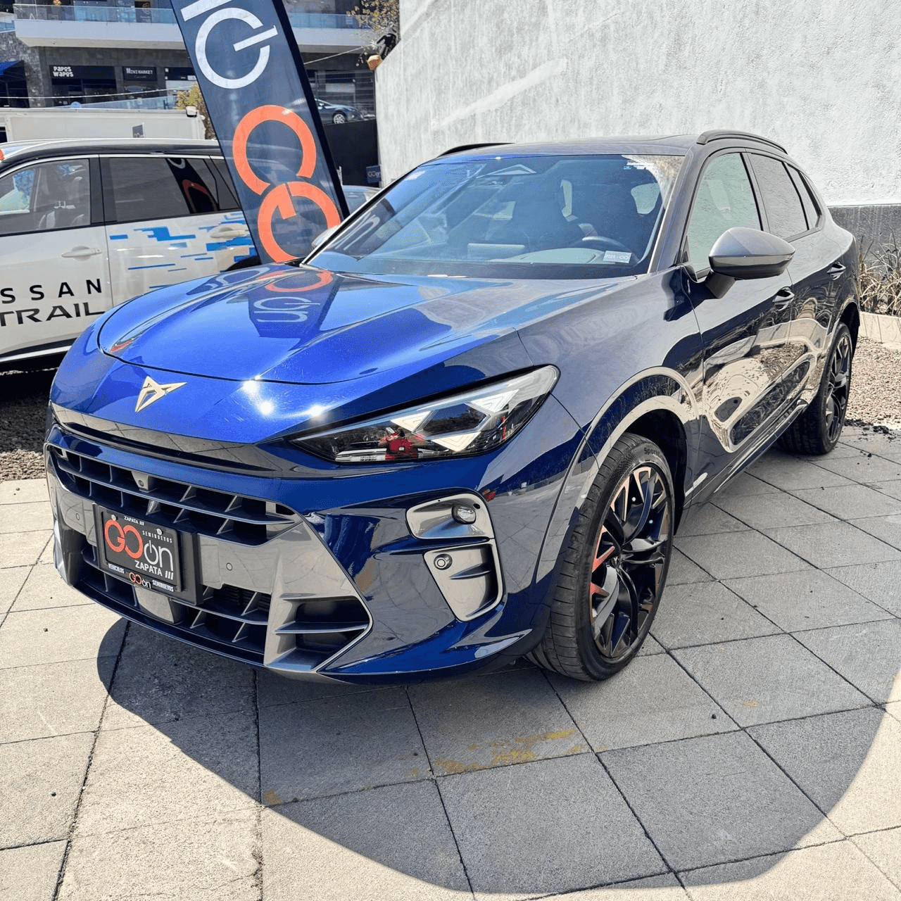 CUP_TERRAMAR VZ 265 HP 2.0